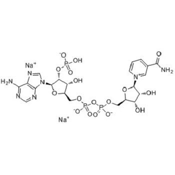 -Nicotinamida Adenina Dinucleotídeo Fosfato Sal Dissódico (-NADP-2Na);CAS NO.: 24292-60-2